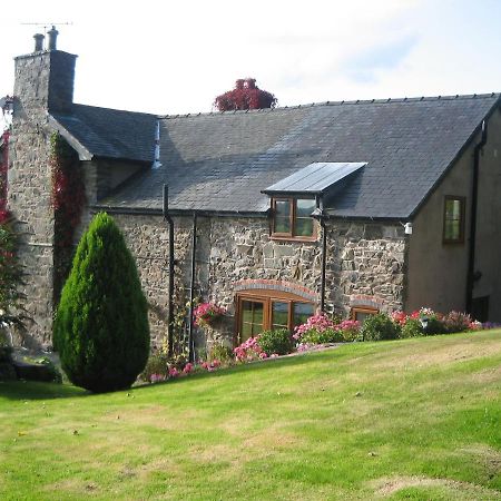 Bed and Breakfast Tan Y Graig à Meifod Extérieur photo
