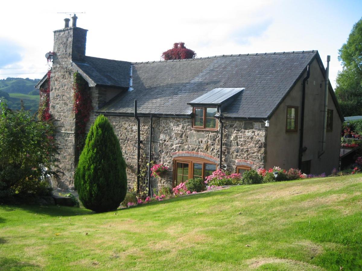 Bed and Breakfast Tan Y Graig à Meifod Extérieur photo