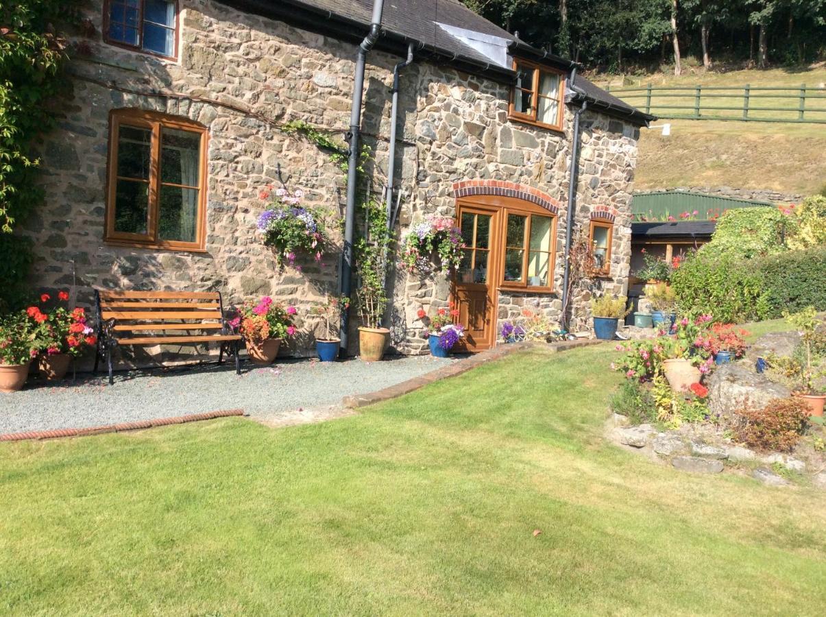 Bed and Breakfast Tan Y Graig à Meifod Extérieur photo