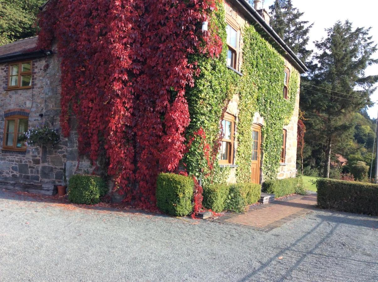 Bed and Breakfast Tan Y Graig à Meifod Extérieur photo